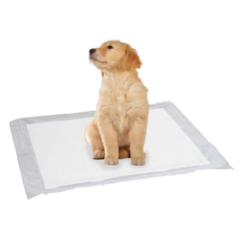 Un chiot golden retriever est assis sur un tapis d'entraînement blanc, regardant vers le haut avec une expression curieuse.