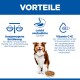 Banner 'VORTEILE' mit Symbolen: Ausgewogene Ernährung, Leicht verdauliche Zutaten, Vitamin C+E; sitzender Hund mit Napf.