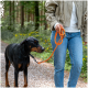 Person in Jeans hält eine orangefarbene Leine und führt einen schwarz-braunen Dobermann auf einem bewaldeten Kiesweg.