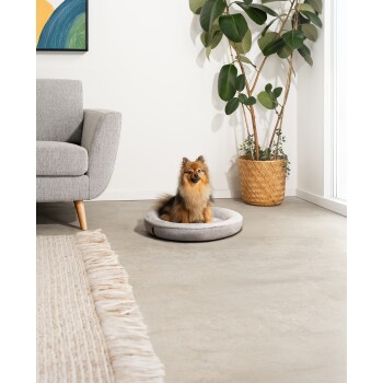 Ein flauschiger Pomeranian-Hund sitzt auf einem runden grauen Haustierbett in einem modernen Wohnzimmer mit einem grauen Sofa, einer großen Topfpflanze und einem bunten Wandkunstwerk.