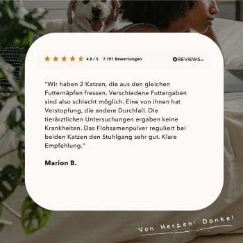 Kundenbewertung mit einer Bewertung von 4,8/5 für ein Haustierprodukt, das die Wirksamkeit von Flohpulver für zwei Katzen mit Verdauungsproblemen bespricht.
