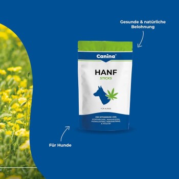 Blau-grüne Canina 'HANF STICKS' Tüte mit Hundesilhouette und Hanfblatt, Schriftzug 'Für Hunde' und 'Gesunde & natürliche Belohnung'.
