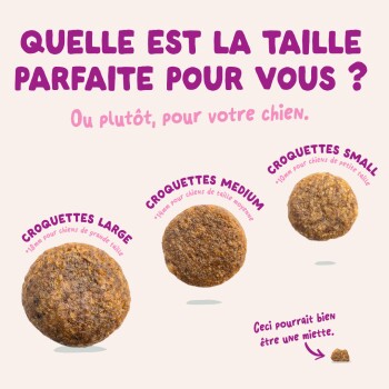 Trois tailles de croquettes pour chien (18/14/10 mm) étiquetées en français « Quelle est la taille parfaite ? » et « Croquettes Large/Moyenne/Petite ».