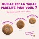 Trois tailles de croquettes pour chien (18/14/10 mm) étiquetées en français « Quelle est la taille parfaite ? » et « Croquettes Large/Moyenne/Petite ».