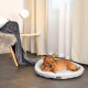 Ein gemütliches Hundebett in einem modernen Wohnraum, mit einem kleinen Hund, der bequem darauf ruht. Eine weiche graue Decke und eine stilvolle Lampe sind in der Nähe.