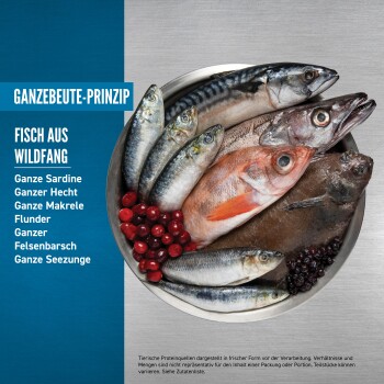 Orijen Six Fish Cat 2x5,4 kg
