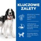 Szczęśliwy czarno-biały pies z czerwoną obrożą stoi obok niebieskiego panelu z listą korzyści dla skóry, trawienia i zdrowia mięśni.