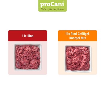 Zwei proCani Hundefutterpakete: eines mit reinem Rindfleisch und eines mit Rind-Poultry-Mix, jeweils mit 11 Einheiten.
