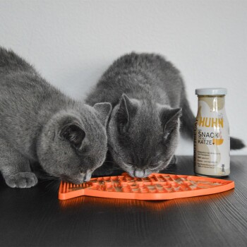 Orangefarbener LickiMat Casper in Fischform für Katzen, mit dem Text: "Bereichern Sie das Leben Ihrer Katze mit einem LickiMat" und Details zur Verwendung.