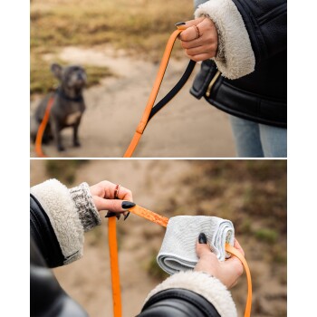 Person hält eine orangefarbene Hundeleine mit kleinem Hund im Hintergrund und einem gefalteten grauen Handtuch, das an der Leine befestigt ist.
