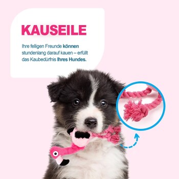 Schwarz-weißer Welpe hält ein pinkes Seil-Flamingo-Kauspielzeug, Einsatz-Nahaufnahme des Seils und fetter Text 'KAUSEILE'.