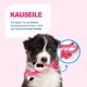 Schwarz-weißer Welpe hält ein pinkes Seil-Flamingo-Kauspielzeug, Einsatz-Nahaufnahme des Seils und fetter Text 'KAUSEILE'.