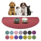 Eine Sammlung von drei Hunden und einer Katze, die vor einer roten Tiermatte mit zwei Futterschalen sitzen. Darunter eine Palette mit 12 Farboptionen.
