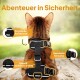 Eine braune Katze in einem schwarzen Geschirr mit reflektierenden Riemen, sicheren Schnallen und einem D-Ring. Der Text sagt "Abenteuer in Sicherheit."