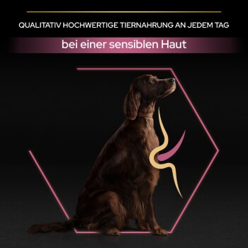 Ein brauner Hund sitzt elegant vor einem dunklen Hintergrund mit Text darüber, der auf hochwertiges Haustierfutter für empfindliche Haut hinweist.