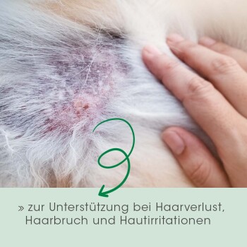 Eine Hand berührt die gereizte Haut eines Hundes mit Haarausfall. Text: 'zur Unterstützung bei Haarverlust, Haarbruch und Hautirritationen.'