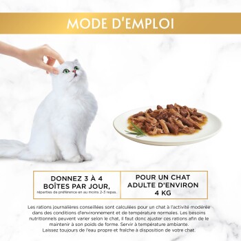 Chat blanc à poils longs caressé à côté d'une assiette de nourriture humide pour chat ; en-tête « MODE D'EMPLOI » et texte « Donnez 3 à 4 boîtes par jour ».