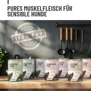 Dosen mit 100 % reinem Muskelfleisch-Hundefutter für sensible Hunde, beschriftet mit Hirsch, Wildschwein, Ziege, Kaninchen, Ente, Pferd, Rind.