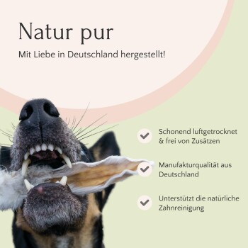 Nahaufnahme eines Hundes, der einen Kauknochen hält, mit dem Text "Natur pur", der hervorhebt, dass es luftgetrocknet, ohne Zusatzstoffe ist und die Zahngesundheit fördert.