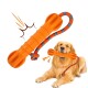 Golden Retriever hält ein orangefarbenes Gummi-Hantel-Kauspielzeug mit angebrachtem blau-orange geflochtenem Seil.