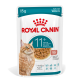 Royal Canin 85g Nassfutterbeutel für ältere Katzen ab 11 Jahren mit Soße, mit Bild einer orangefarbenen getigerten Katze.