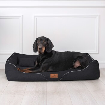 Ein schwarzer Hund, der auf einem stilvollen schwarzen Hundebett mit weißem Rand liegt, mit einem kleinen Kissen und einem Lederetikett, auf dem 'tierland' steht.