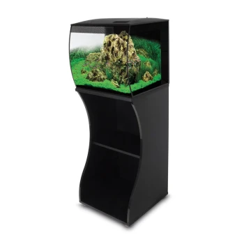 Kurvenförmiges Glas-Aquarium auf einem eleganten schwarzen Ständer, mit dekorativen Steinen und grünen Wasserpflanzen im Inneren.