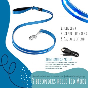 Eine blaue LED-Hundeleine auf einem weißen Hintergrund mit drei Modi: Blinken, schnelles Blinken und konstant. Inklusive USB-Ladekabel. Keine Batterien erforderlich.