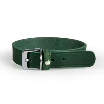 The Leather Collar Weinheim green 27 cm, 1.2 cm Green leather pet collar with a silver buckle and adjustable strap, displayed on a white background.