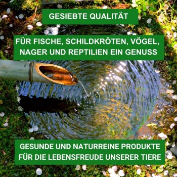 Ein Bambusauslauf gießt Wasser in einen rippligen Teich, umgeben von Grün, und bewirbt Qualitätsprodukte für Haustiere und Wildtiere.