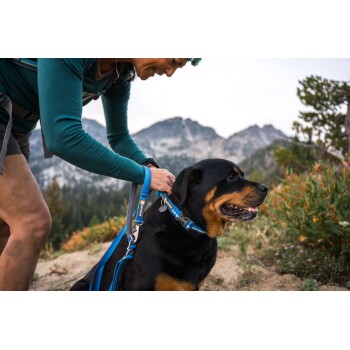 Eine Frau in einem türkisfarbenen Langarmshirt befestigt ein blaues Geschirr an einem Rottweiler in einer bergigen Umgebung.