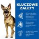 Canine Active Longevity Mature Adult 5+ Senior Large Breed 18 kg