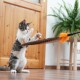 Eine verspielte dreifarbige Katze greift nach einem Feder-Spielzeug mit einem orangefarbenen Pompon, vor einer Holztür und einer grünen Pflanze.