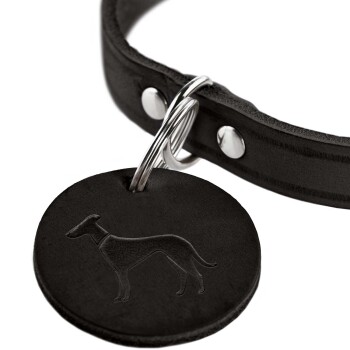 Eine Nahaufnahme eines schwarzen Lederhalsbands für Hunde mit einem runden Anhänger, der eine geprägte Silhouette eines Hundes zeigt.