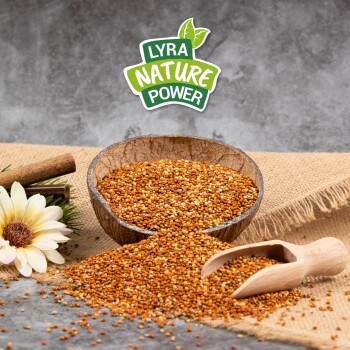 Eine Holzschüssel mit goldbraunen Samen auf Jute, mit einer Schaufel, einer Blume, einem Zimtstock und dem Logo "LYRA NATURE POWER" darüber.