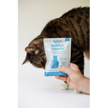Getigerte Katze riecht an einem handgehaltenen 'KatKare Weißfisch Essential' Beutel mit der Aufschrift 'Hypoallergene Snacks', blau-weiß mit Katzenillustration