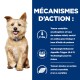 Chien avec un collier bleu à côté d'un texte sur la nutrition : phosphore contrôlé, sodium réduit, Oméga-3 et acides aminés essentiels.
