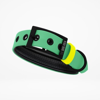 Biothane Halsband Mint mint L