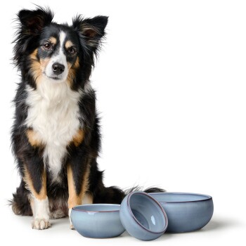 Ein schwarz-brauner Hund sitzt neben drei blauen Keramikschalen unterschiedlicher Größe und zeigt ein modernes Futtersetup für Haustiere.