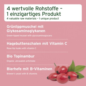 Produktauflistung, die vier wichtige Zutaten für die Gesundheit von Haustieren zeigt: Grünlippmuschel, Hagebuttenschalen, Artischocke und Bierhefe.