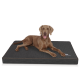 Ein brauner Hund liegt auf einem dunklen Haustierbett mit strukturierter Oberfläche, begleitet von einer grafischen Illustration eines Hundes auf einer Matratze.