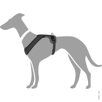 Illustration eines grauen Hundes, der ein schwarzes Geschirr trägt, das sein Design und seine Passform zeigt.