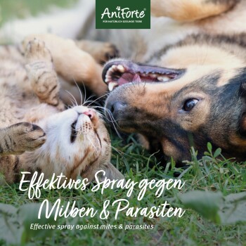 Eine Katze und ein Hund spielen auf Gras mit dem Text: "Effektives Spray gegen Milben & Parasiten" und "Effective spray against mites & parasites."