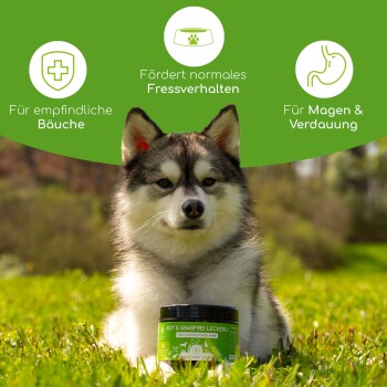 Ein Hund sitzt auf grünem Gras mit einem Glas Leckerlis mit der Aufschrift "KOT & GRASFREI LECKERLI" davor, das die Verdauungsgesundheit und normales Essverhalten fördert.
