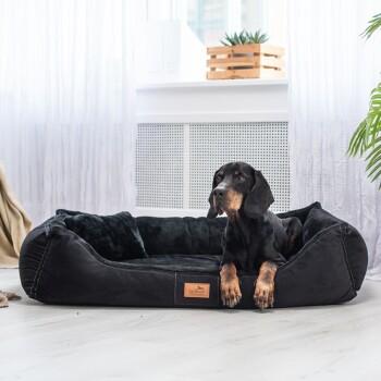 Ein geschichteter Haustierbett-Design, das einen schwarzen Außenbezug, mehrere Schaumstoffschichten und eine Basis zeigt, die Komfort- und Unterstützungsmerkmale hervorhebt.