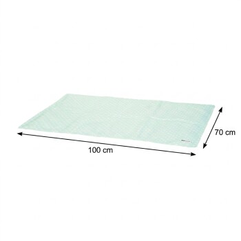 Tapis d'entraînement pour animaux menthe à pois avec bordure blanche, affiché avec des flèches de dimensions 100 cm × 70 cm.