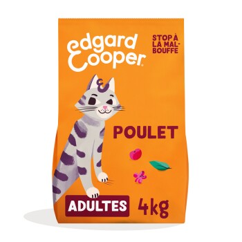 Sac de nourriture pour chat avec un chat de dessin animé, fond orange, étiqueté "POULET" et "ADULTES 4kg," avec le texte "STOP À LA MALBOUFFE."