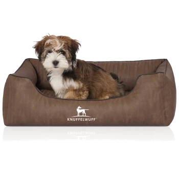 Flauschiger braun-weißer Welpe sitzt in einem braunen Hundebett mit der Beschriftung KNUFFELWUFF und weißem Hundelogo.