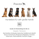 Große Hunderassen auf einem 3XL Bett mit der Aufschrift "Hundebett für sehr große Hunde," für Hunde mit einer Rückenlänge von bis zu 86 cm.