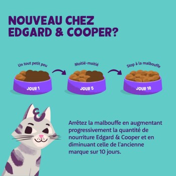 Image montrant un chat de dessin animé avec une expression amicale, accompagnée d'un guide pour la transition vers la nourriture pour animaux de compagnie Edgard & Cooper sur 10 jours.